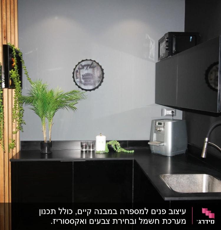 מטבח מודרני עם ארונות שחורים וצמחייה ירוקה